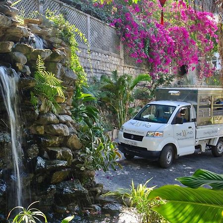 The Wind Resort - Tropical Hillside Escape Vũng Tàu Eksteriør billede